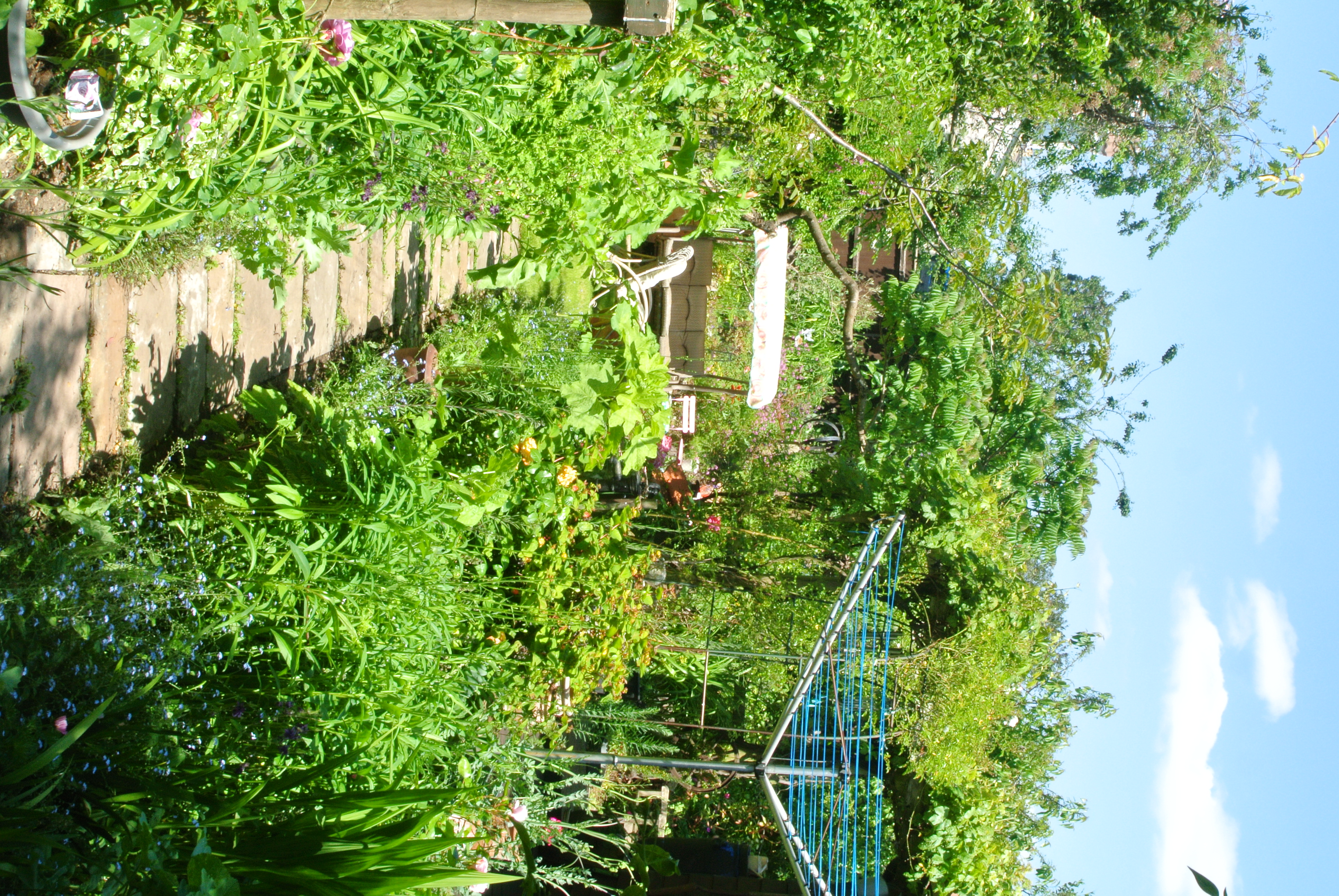 DSC_2708.JPG