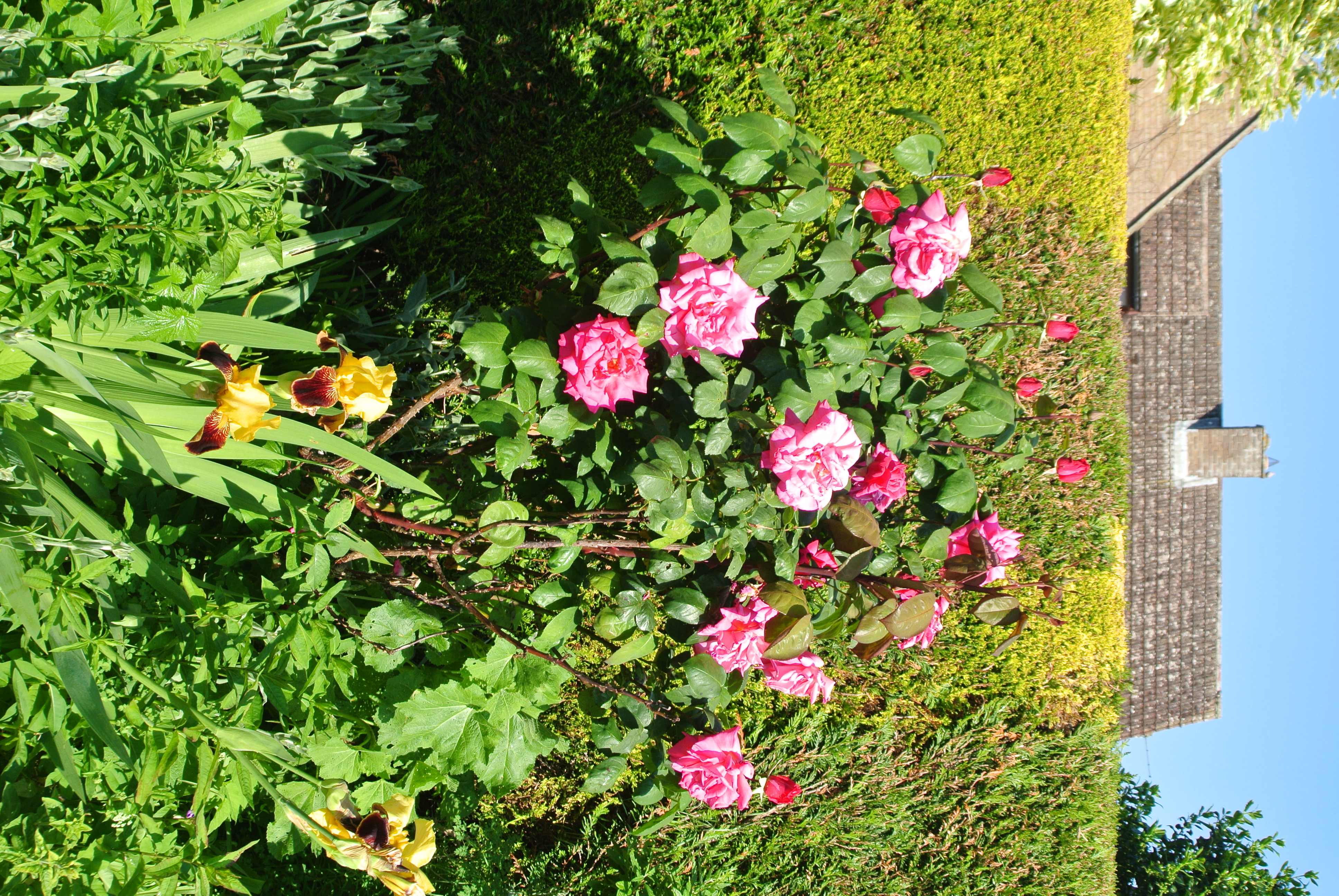 DSC_2834.JPG