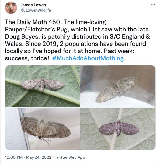 The Daily Moth 450-499