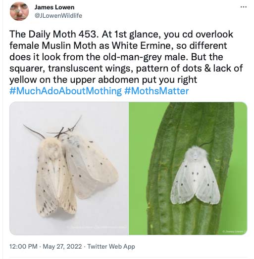 453.jpg
