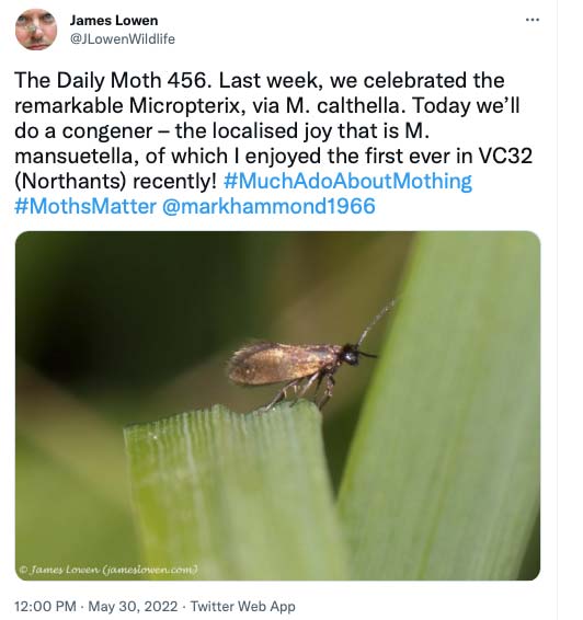456.jpg