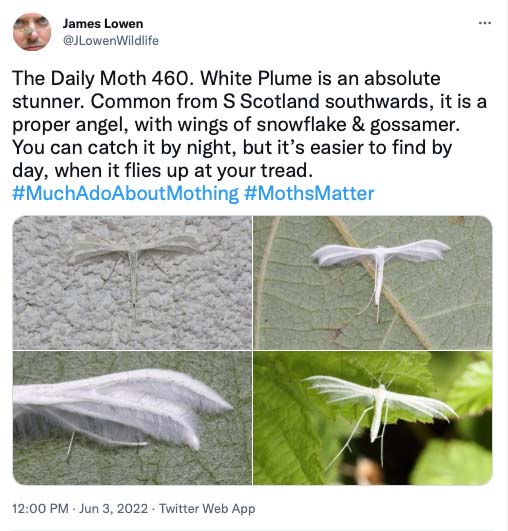460.jpg