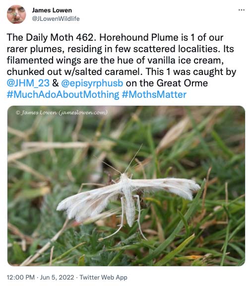 462.jpg