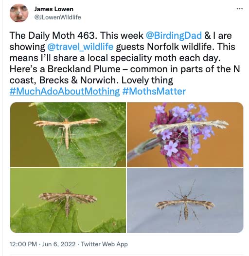 463.jpg