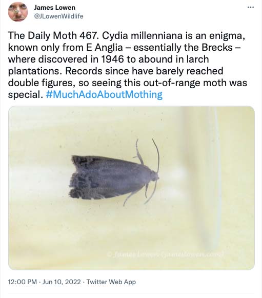 467.jpg