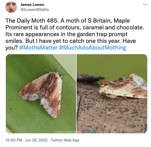 485.jpg