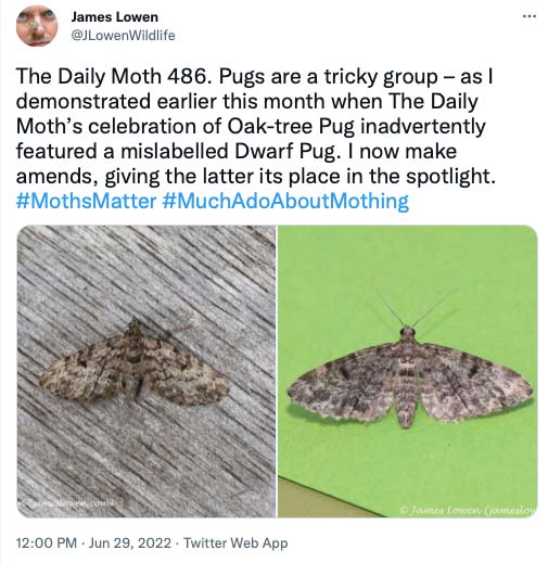 486.jpg