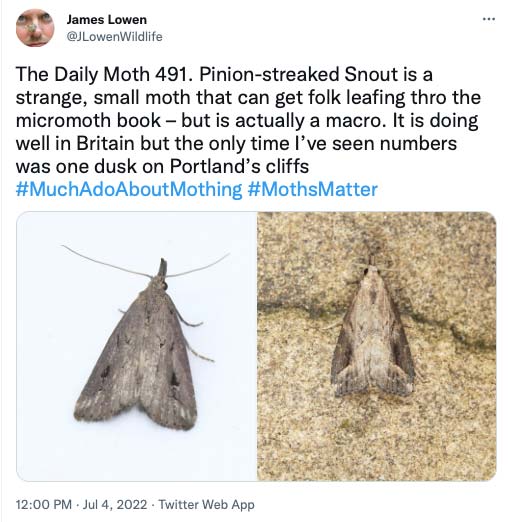 491.jpg