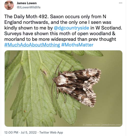 492.jpg