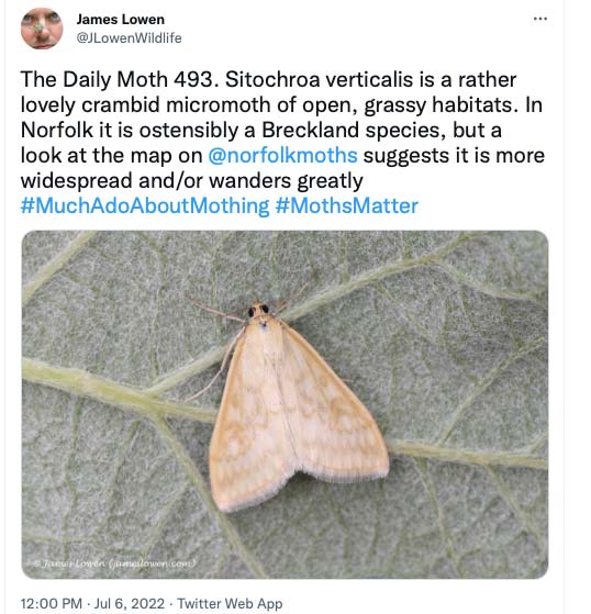 493.jpg