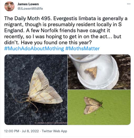 495.jpg