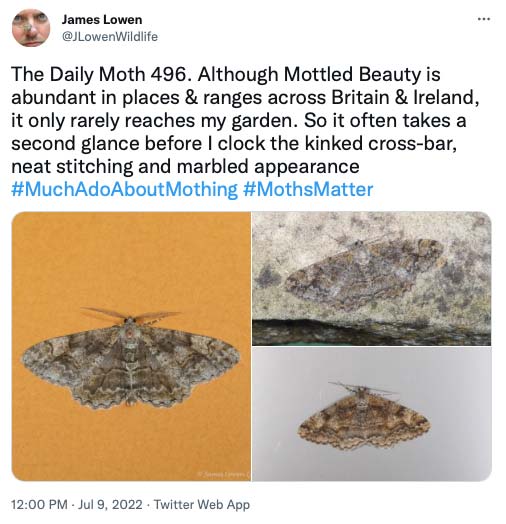 496.jpg