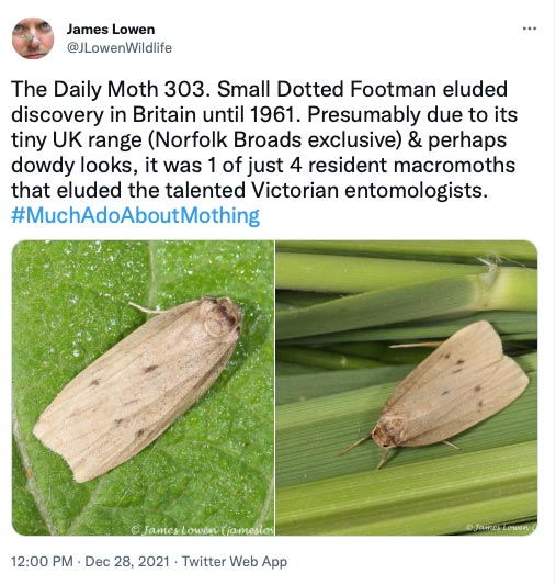 303.jpg