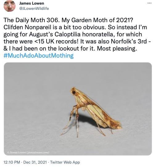 306.jpg