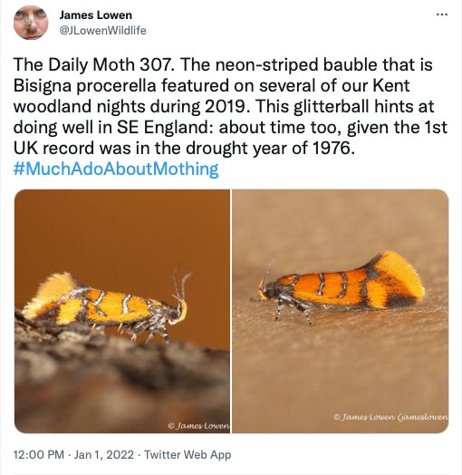 307.jpg
