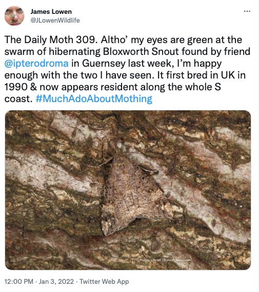 309.jpg