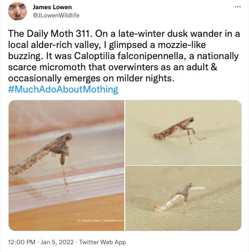 311.jpg