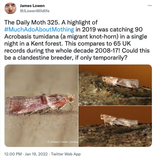 325.jpg