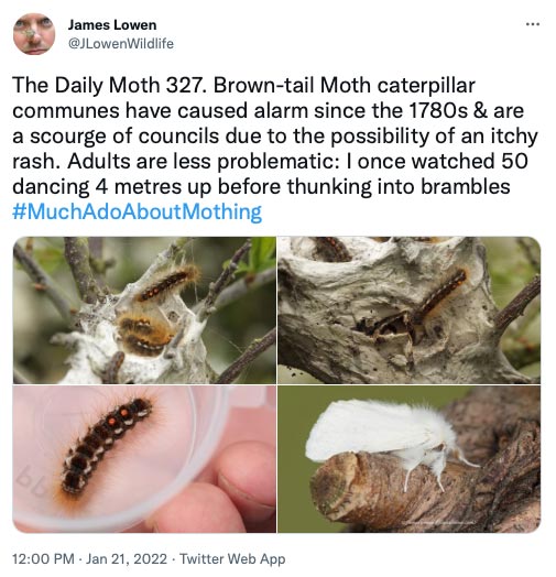327.jpg