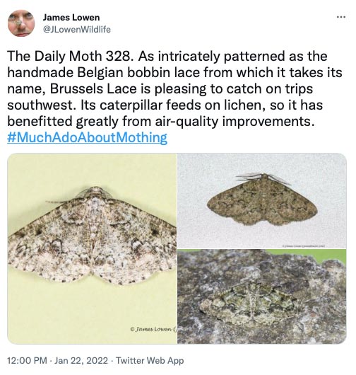 328.jpg