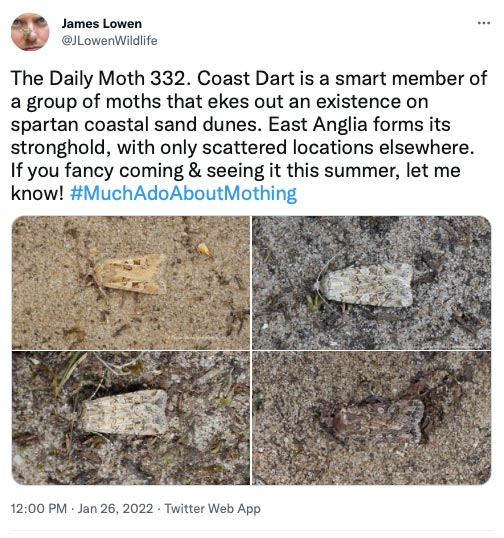 332.jpg