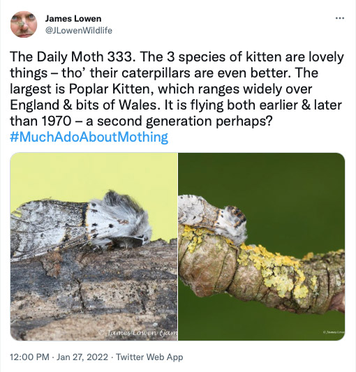 333.jpg