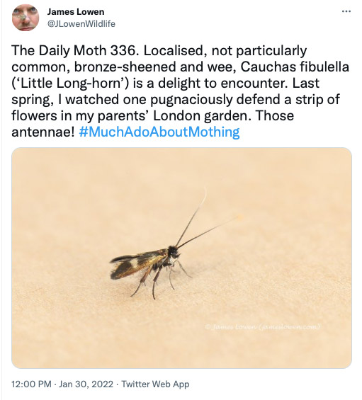 336.jpg