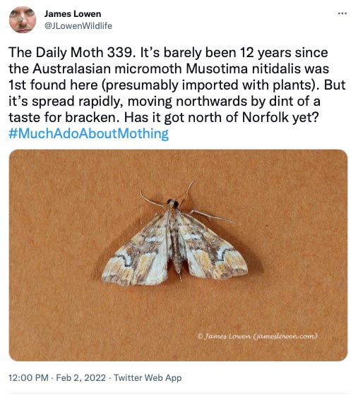 339.jpg