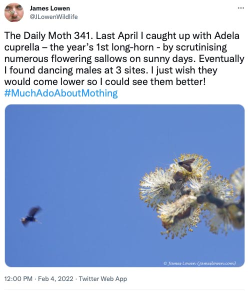 341.jpg