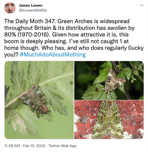347.jpg
