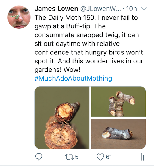 The Daily Moth 150-199