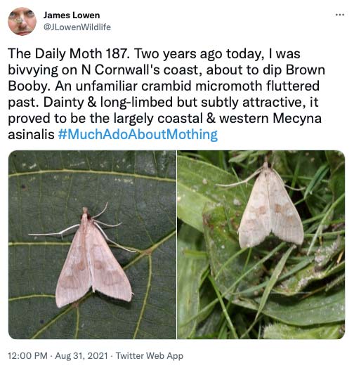 The Daily Moth 150-199