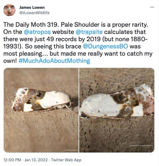 319.jpg