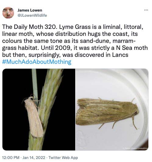 320.jpg