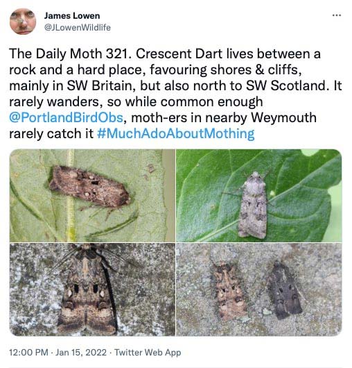 The Daily Moth 300-349
