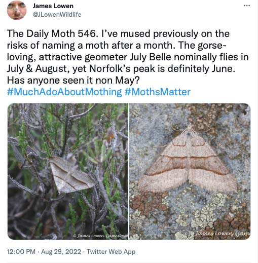 The Daily Moth 500-549
