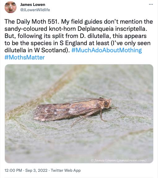 551.jpg