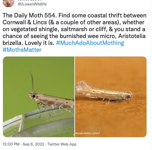 554.jpg