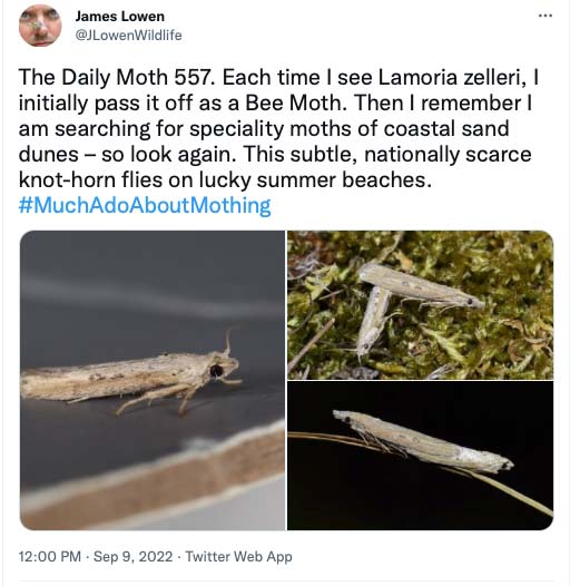 557.jpg