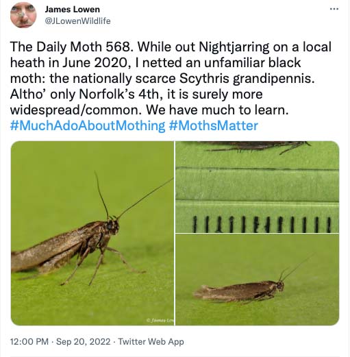568.jpg