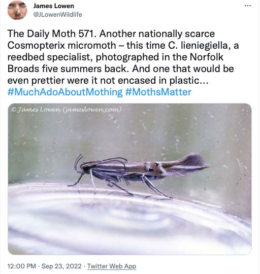 571.jpg