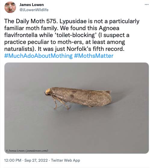575.jpg
