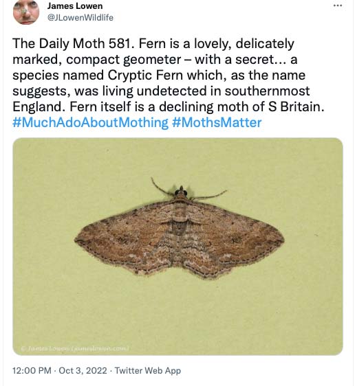581.jpg