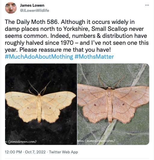 586.jpg