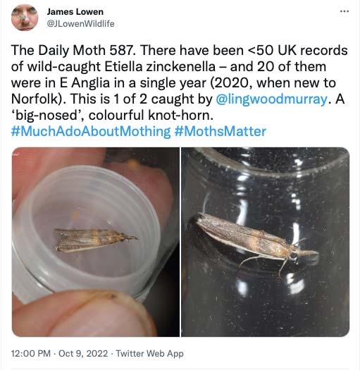 587.jpg