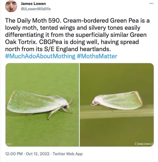 590.jpg
