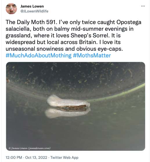 591.jpg
