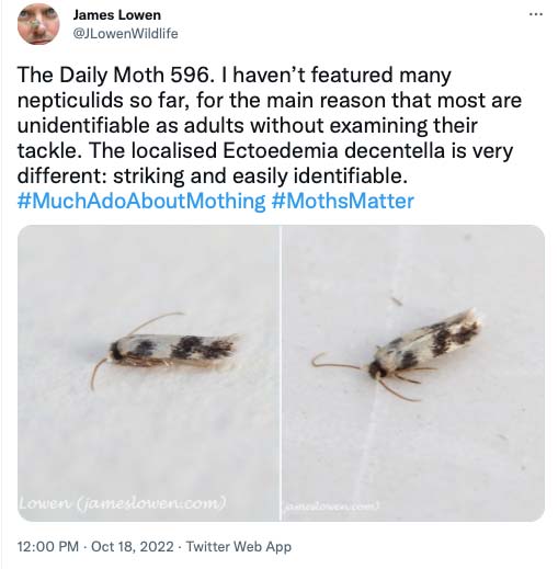 596.jpg