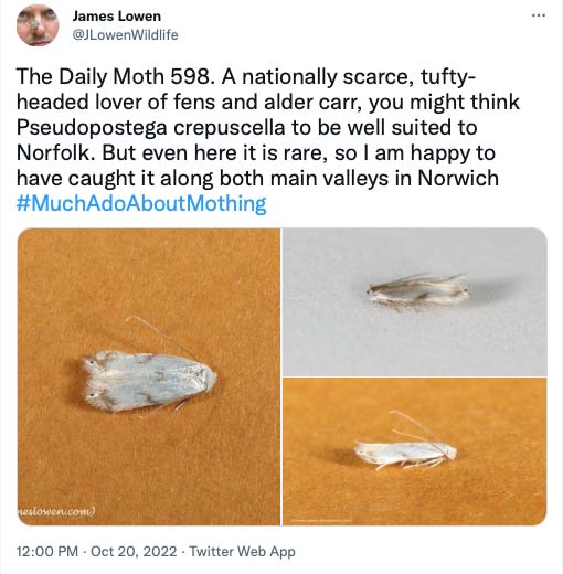 598.jpg