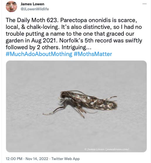623.jpg